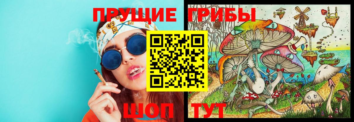 Галлюциногенные грибы Magic Shrooms  Псилоцибиновые грибы ЛСД  Вход с VPN  Ессентуки 