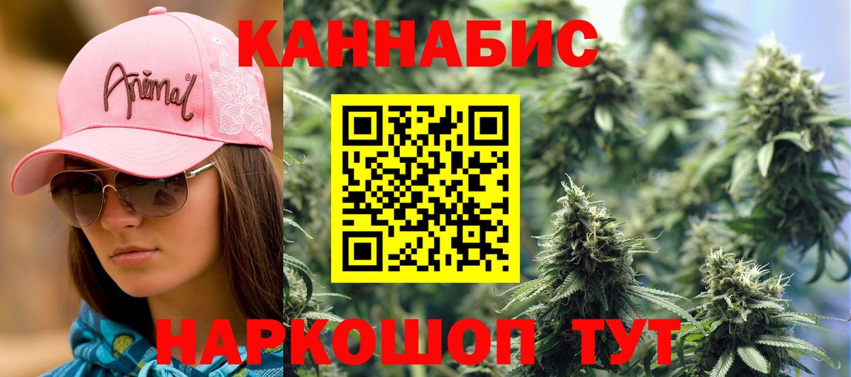 Ессентуки  Конопля OG Kush  Бошки Шишки VHQ  Вход с VPN  Конопля Amnesia  Конопля марихуана 